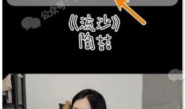 如何快速下载抖音视频，轻松获取精彩内容和分享技巧