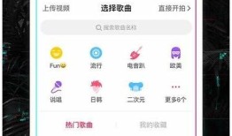类似快猫抖阴的软件推荐，隐私安全又便捷的选项