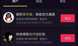 抖音VIP破解：揭秘其背后的风险与影响调查
