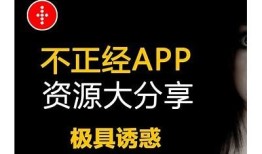 老司机抖阴App下载地址及使用指南，轻松畅享精彩内容！