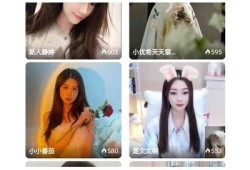 抖阴破解版最新测试：为何无法正常使用及解决方法