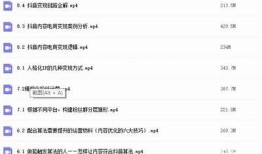 如何通过抖阴软件完成盈利？探索有效的赚钱方法与技巧