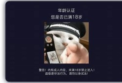 抖阴师小妹：揭秘短视频背后的那些不为人知的秘密