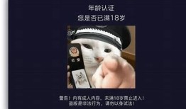 抖阴师小妹：揭秘短视频背后的那些不为人知的秘密