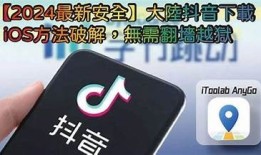 国际版抖音下载安装指南：快速获取全球版抖音的步骤