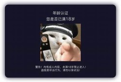 揭秘抖阴破解牌的使用技巧与攻略，让你轻松玩转抖音