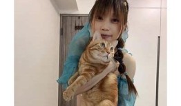小鸟抖阴视频动漫：趣味搞笑与可爱角色的完美结合