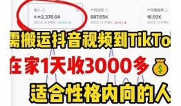 猫咪抖阴：iOS平台宠物视频分享新体验