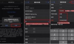 抖音Live苹果客户端下载：轻松畅享直播乐趣，快速入门指南