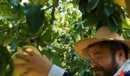 抖音Pro短视频技巧大揭秘，教你如何迅速提高播放量
