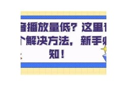 抖音视频播放技巧：如何提高观看量与互动率
