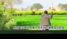 豆奶的制作过程：抖音短视频分享健康美味饮品