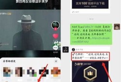 苹果手机能否观看抖音？详细解析及使用技巧