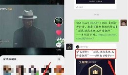 苹果手机能否观看抖音？详细解析及使用技巧
