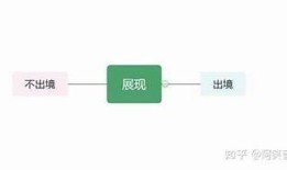 如何有效利用抖阴tr完成社交媒体营销的成功秘诀