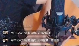 快手和抖音哪个更严格？深度对比调查两大平台的审核政策