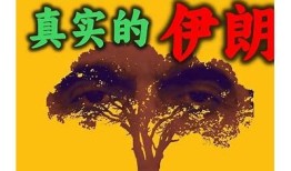 特有视角解析：你绝对没见过的抖音短视频精彩瞬间