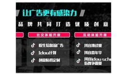 抖音新名称揭晓：如何在新平台中吸引更多关注与粉丝