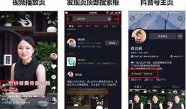轻松搭建抖音整站源码，助你提升网站流量与百度搜索排名！