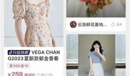 打造专属抖音小店，轻松达成目标网店盈利的全攻略与技巧分享