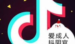 探索抖阴与快手成人直播平台的热门动向与使用体验