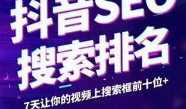 抖音优化版2.01：提升短视频曝光率与用户互动秘籍