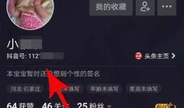 抖音VIP会员破解下载方法大全，轻松享受无限特权！