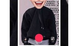 免费的抖音阴音下载网站推荐，轻松获取心仪音乐资源！