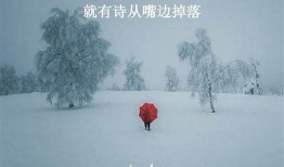 标题：冬天来临，教你如何打理护肤和保暖，让你温暖过冬！