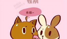 快猫抖阴是什么？功能介绍及使用体验详解