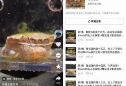 抖阴菲比抖音：探索短视频平台的创新与魅力