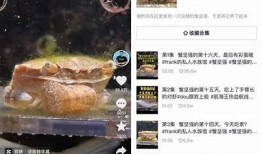 抖阴菲比抖音：探索短视频平台的创新与魅力