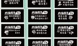 揭秘内涵段子的幽默与深意，探讨抖阴文化情况