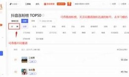 完整解析抖阴同步会员信息：提升你的账号运营效率