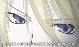 快妖精、抖阴、快猫：全网热门短视频平台深度解析