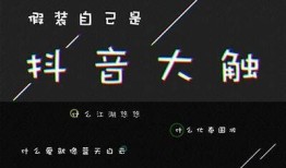 抖音老司机1.96版本彻底解析：功能、亮点与使用技巧