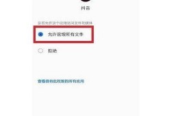 对策：苹果手机无法安装抖音运用的背景及应对方法