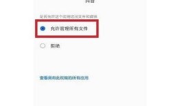 对策：苹果手机无法安装抖音运用的背景及应对方法