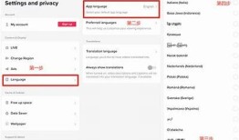 抖阴TikTok软件使用全指南，轻松打造你的短视频世界