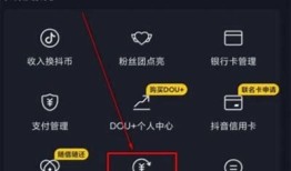 抖音直播押金退还流程解析，能否顺利退款？