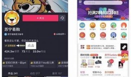 抖阴优化版无线抖币使用指南：轻松赚取收益技巧