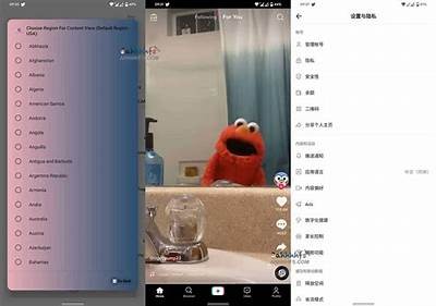 抖音国际版破解版免费下载iOS 最新版本上线，畅享无限精彩！