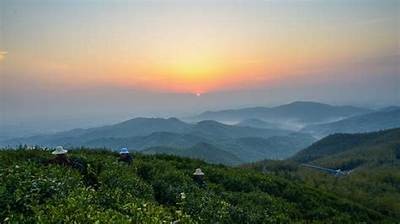 抖阴晨光：揭秘春日清晨的美好与生活碰撞的奇妙瞬间