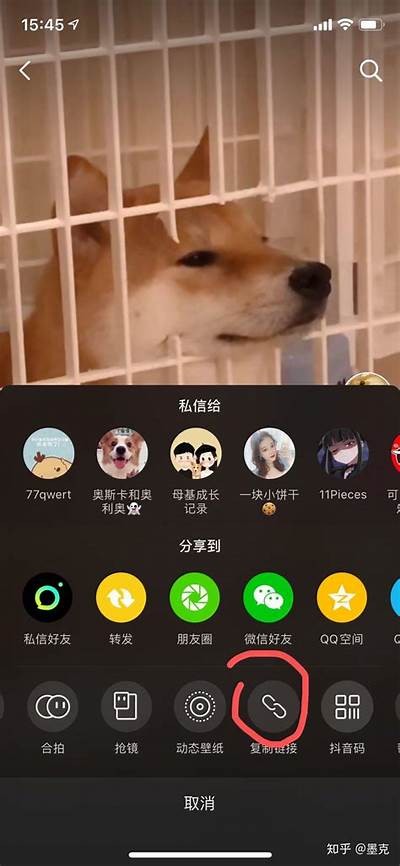 最新热门抖音视频下载教程，轻松获取精彩短视频！