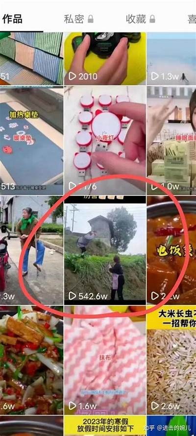 抖音软件FTP传输技巧：轻松管理你的短视频资源