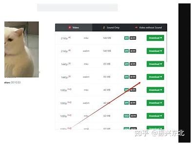 如何将抖音阴音下载到手机相册的详细步骤