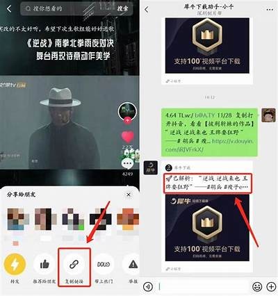 苹果手机能否观看抖音？详细解析及使用技巧