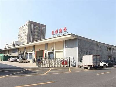 抖音三级视频教程：新手快速上手技巧及实用攻略
